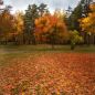 Neue Herbstmode